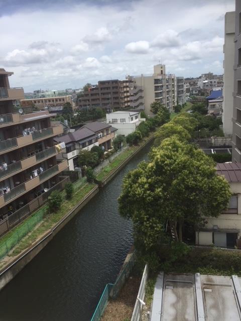その他　建物の裏側には、心休まる川があり、癒されます♪