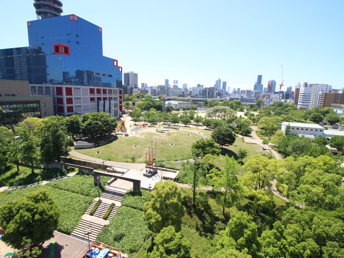 公園　扇町公園（公園）まで220m