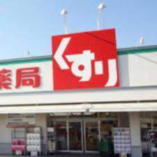 ドラックストア　スギドラッグ岡崎ＮＥＷＳ店（ドラッグストア）まで759m