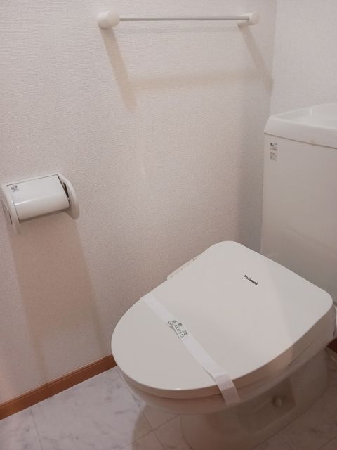 東武伊勢崎線 細谷駅 徒歩33分 2階建 築22年のトイレ写真
