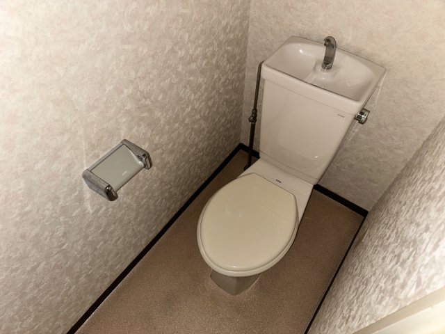 ロイヤルシャルムのトイレ写真