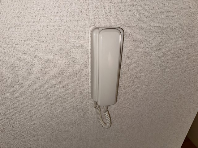 ロイヤルシャルムのその他写真