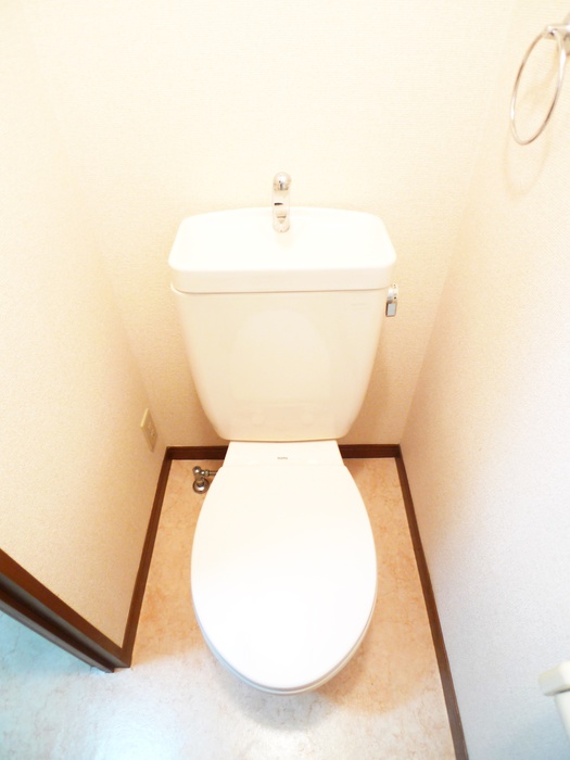 リバーサイドハイツ3のトイレ写真