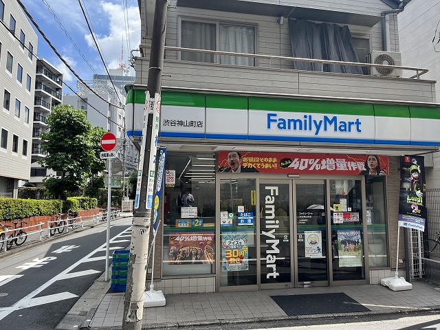 代々木公園近く メヌエットオマタ Lの周辺写真