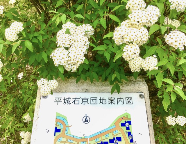 UR平城右京の外観写真