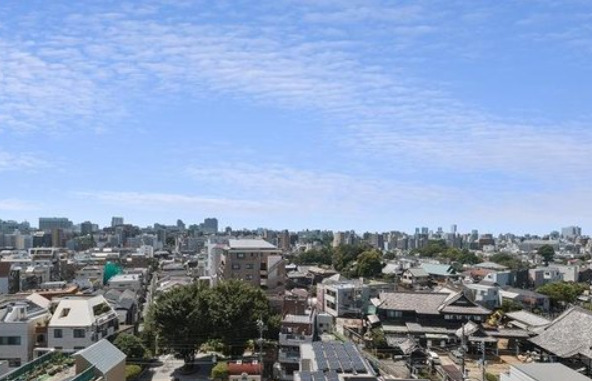 眺望　※別部屋の参考写真です。