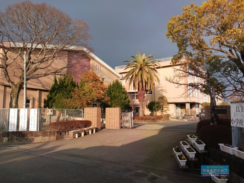 小学校　熊本市立城南小学校（小学校）まで1600m
