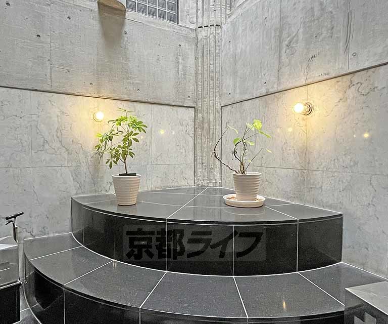庭