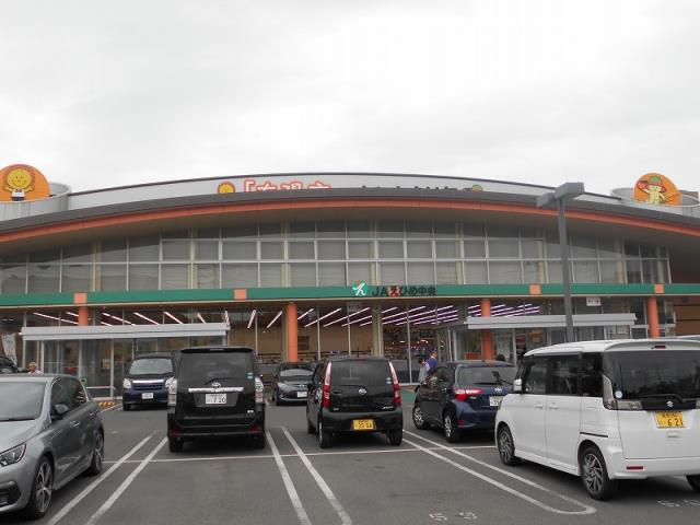 その他　太陽市（その他）まで918m