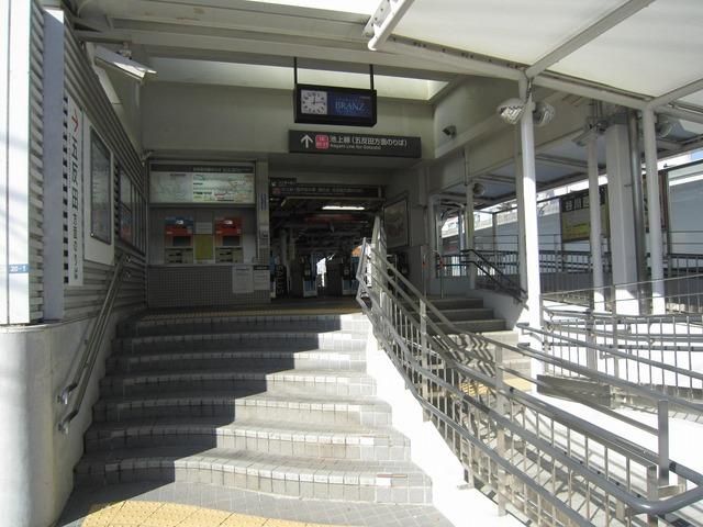 その他　千鳥町駅（その他）まで560m