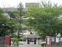 中学校　大生院中学校（中学校）まで774m