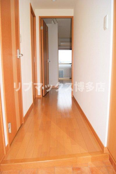 玄関　※写真と異なる場合は現状優先