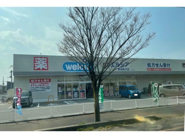 ドラックストア　ウエルシア新潟荻川店（ドラッグストア）まで566m