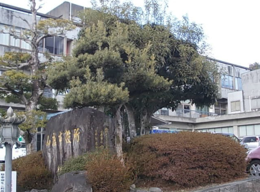 山鹿市役所(山鹿総合支所)（役所）まで837m