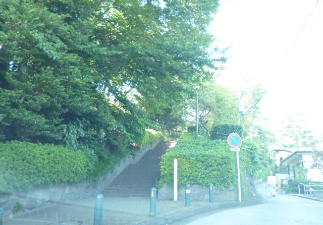 公園　大倉山公園（公園）まで240m