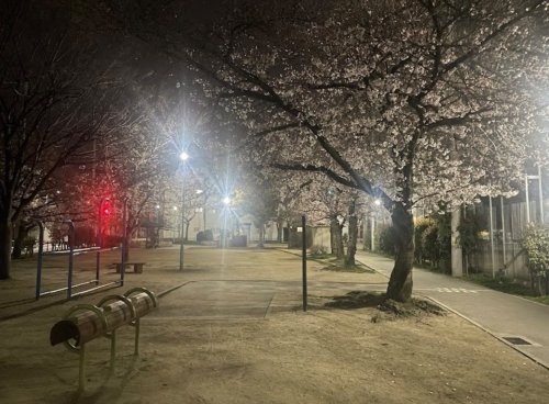 公園　神路公園（公園）まで440m