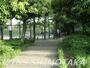 公園　希望丘公園（公園）まで325m