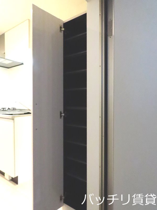 玄関　画像は同型タイプの為、現状を優先いたします