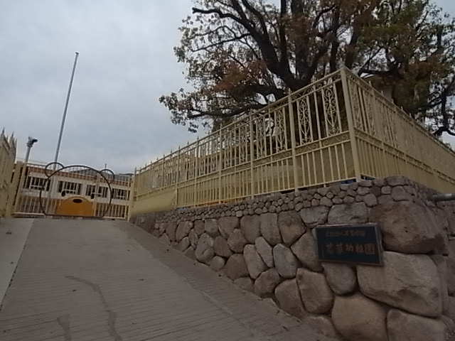 幼稚園・保育園　若草幼稚園（幼稚園・保育園）まで672m
