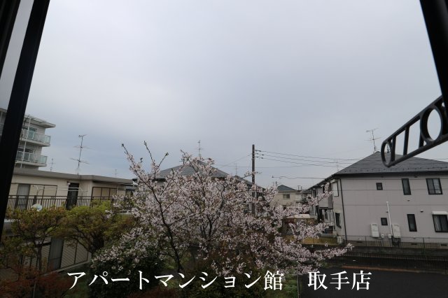 眺望