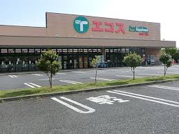 スーパー　エコス TAIRAYA(たいらや) 拝島店（スーパー）まで806m