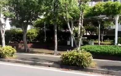 公園　貴崎2号緑地（公園）まで297m