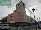ショッピングセンター　イズミヤ津高店（ショッピングセンター）まで680m