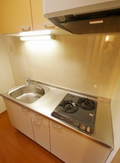 川崎市中原区下小田中3丁目楽器可マンションのキッチン写真