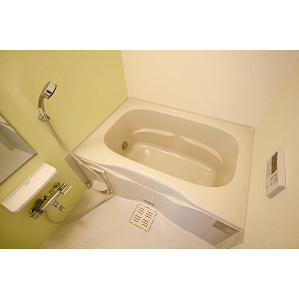バス・シャワールーム　同じ建物の別なお部屋