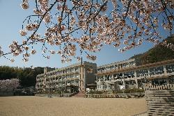 【第二青山ハイツの小学校】