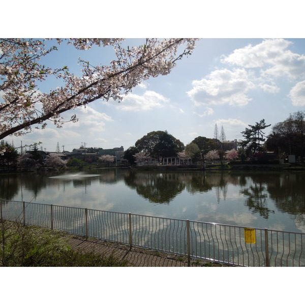 【プレサンス阿倍野阪南町の公園】