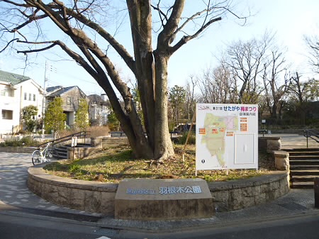 【世田谷区松原のマンションの公園】