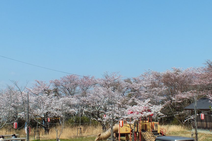 公園　新富ケ浦公園（公園）まで1481m