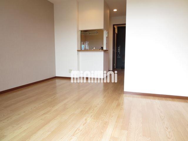 居室・リビング　広い洋室