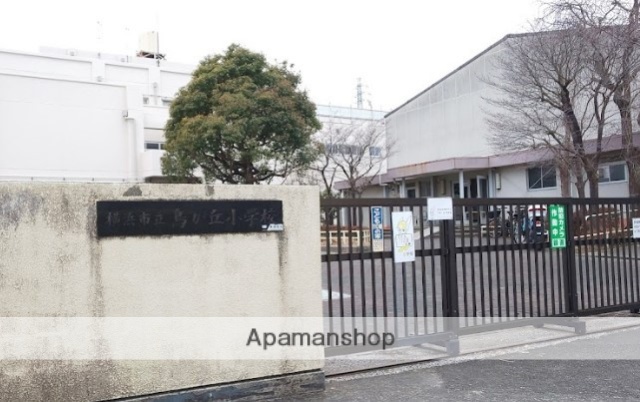 小学校　横浜市立鳥が丘小学校（小学校）まで529m