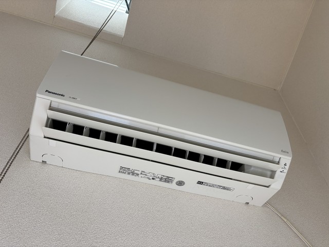 グレイスチトセのその他写真