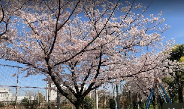 【スプランディッドVIIIの公園】