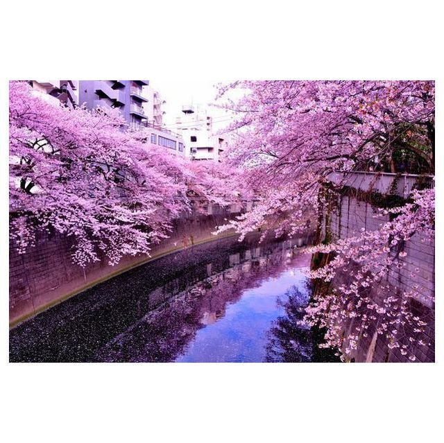 その他　近隣イメージ