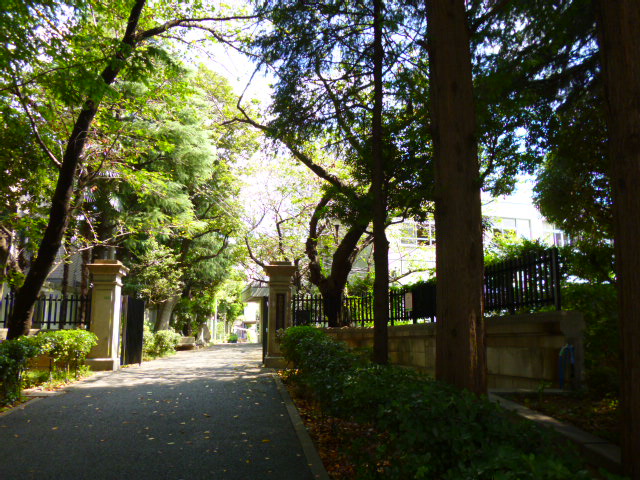 中学校　区立第三中学校（中学校）まで364m