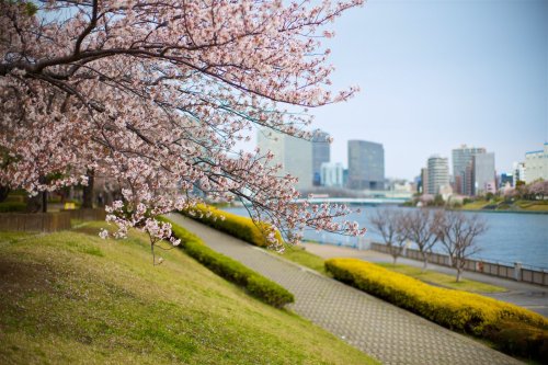 公園　佃公園（公園）まで682m