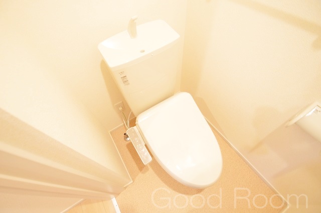 ＪＲ牟岐線 阿波富田駅 徒歩58分 2階建 築11年のトイレ写真