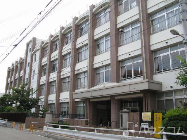 小学校　大阪市立柏里小学校（小学校）まで500m