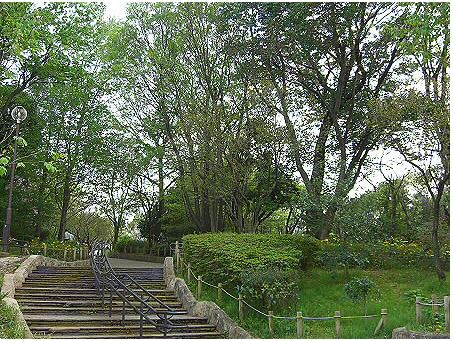 【世田谷区赤堤のマンションの公園】