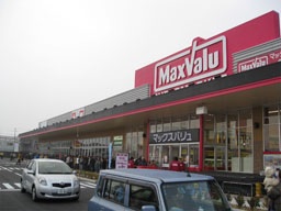 ショッピングセンター　イオンタウン野口ショッピングセンター（ショッピングセンター）まで1617m