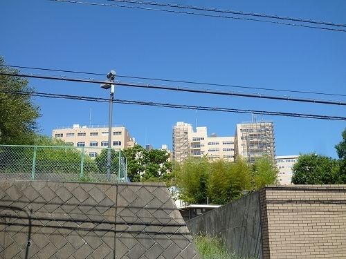 その他　帝京大学（その他）まで800m