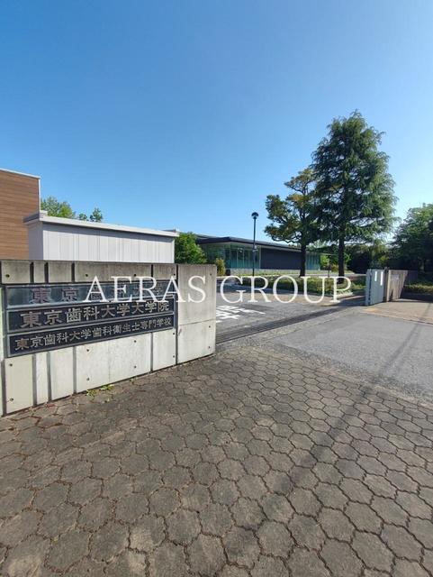 大学・短大　東京歯科大学（大学・短大）まで1289m