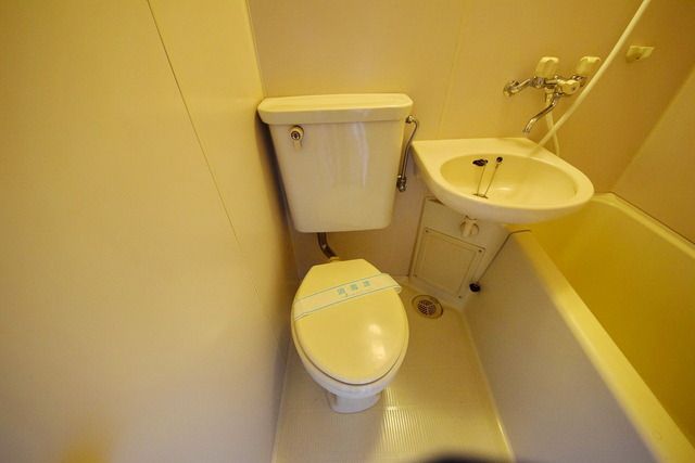 ウィンベルソロ新狭山第3のトイレ写真