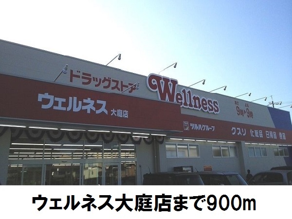 ドラックストア　ドラッグストアウェルネス大庭店（ドラッグストア）まで922m