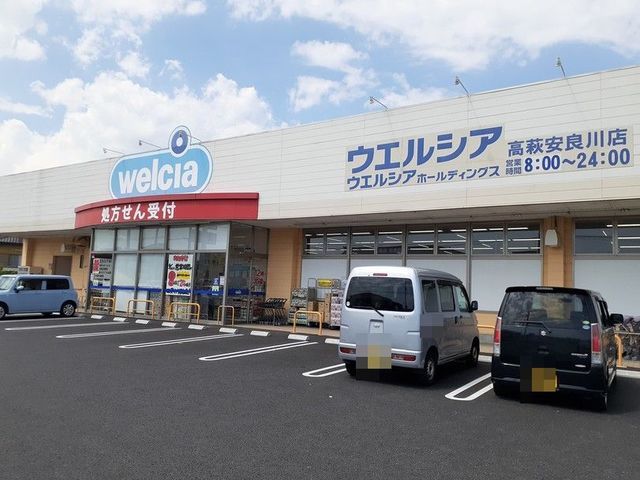 ドラックストア　ウエルシア高萩安良川店（ドラッグストア）まで1100m