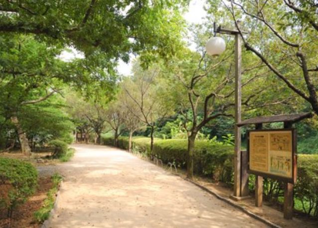 公園　駒場野公園（公園）まで222m